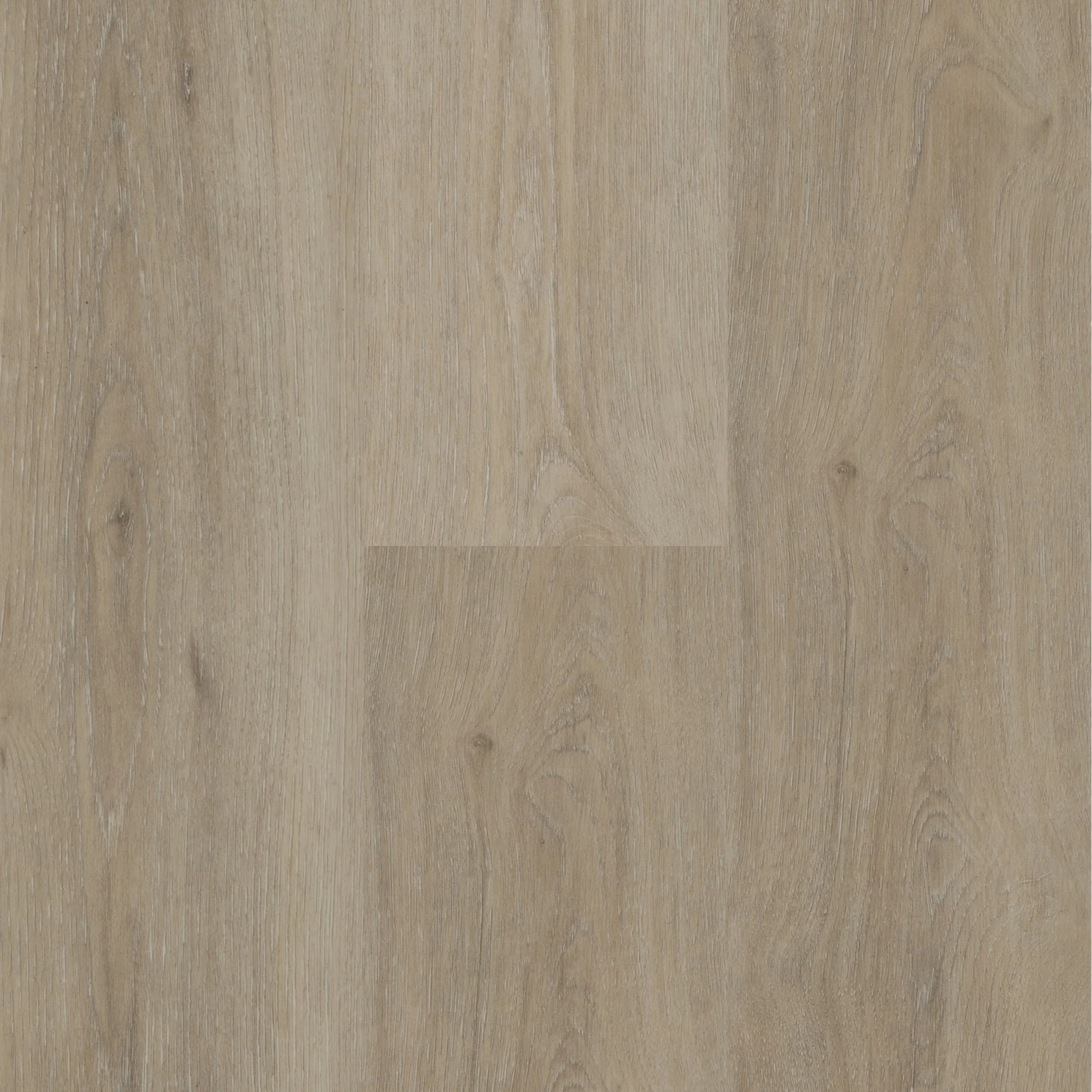 Wildwood — Next Floor®